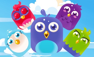 Image Bird Match Master